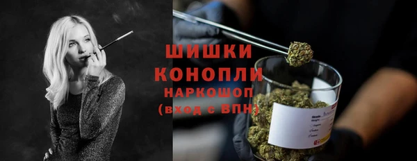 гидра Арсеньев